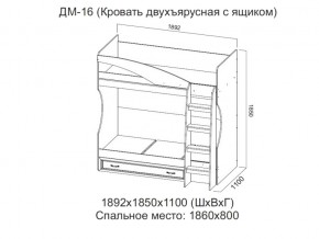 ДМ-16 Кровать двухъярусная с ящиком в Нижнем Тагиле - nizhnij-tagil.magazin-mebel74.ru | фото