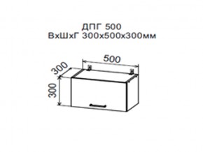 Шкаф верхний ДПГ500 горизонтальный в Нижнем Тагиле - nizhnij-tagil.magazin-mebel74.ru | фото