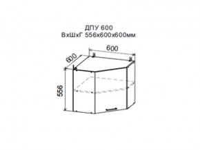 Шкаф верхний ДПУ600 угловой в Нижнем Тагиле - nizhnij-tagil.magazin-mebel74.ru | фото